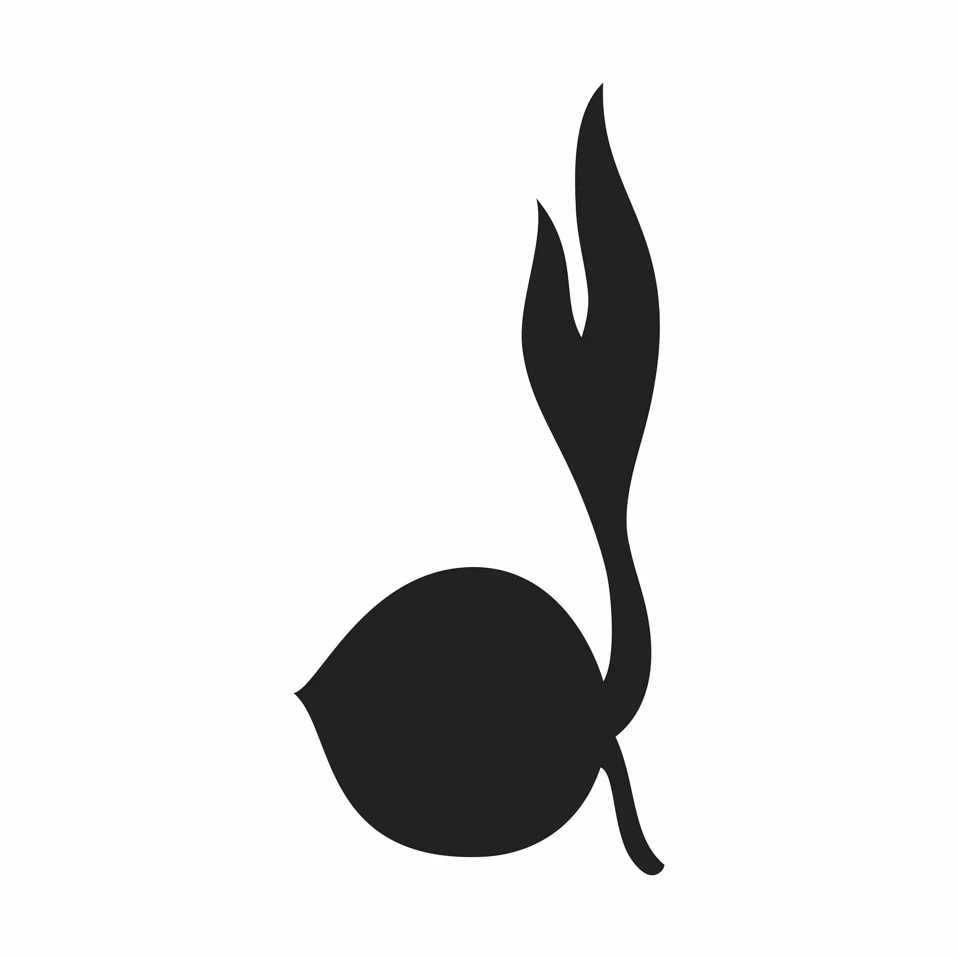 Tunas Kelapa - Emblem Pramuka